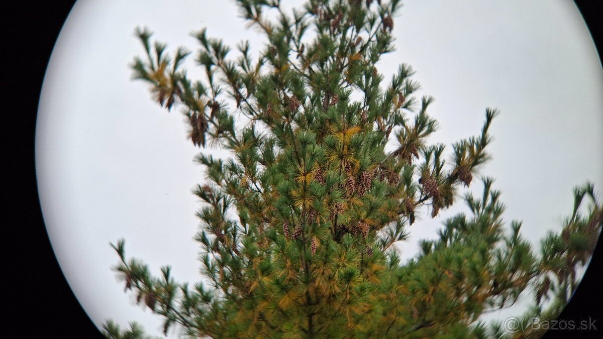 Ďalekohľad PANORAMA BERLIN WETWINKEL 8X30 - 16