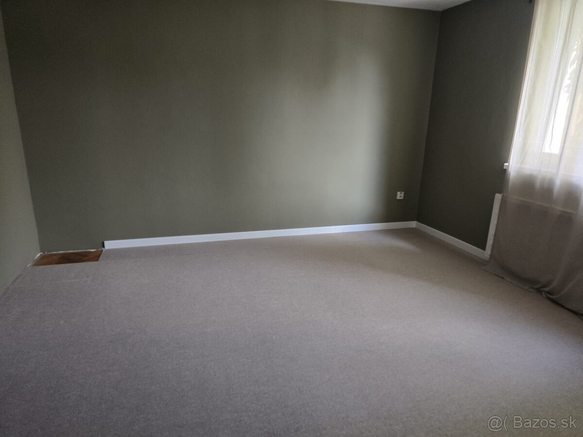 Veľký rodinný Dom-Jur nad Hronom s potenciálom na podnikanie - 16