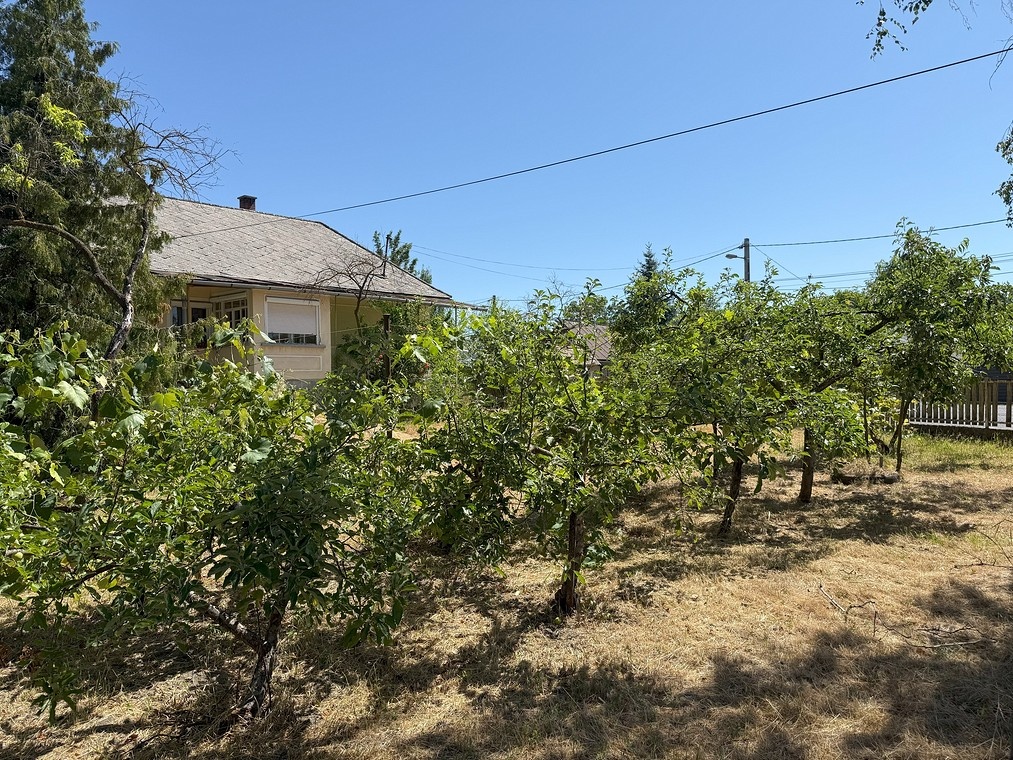 Tornyosnémeti, MAĎARSKO-dom s veľkým pozemkom blízko Košíc - 16