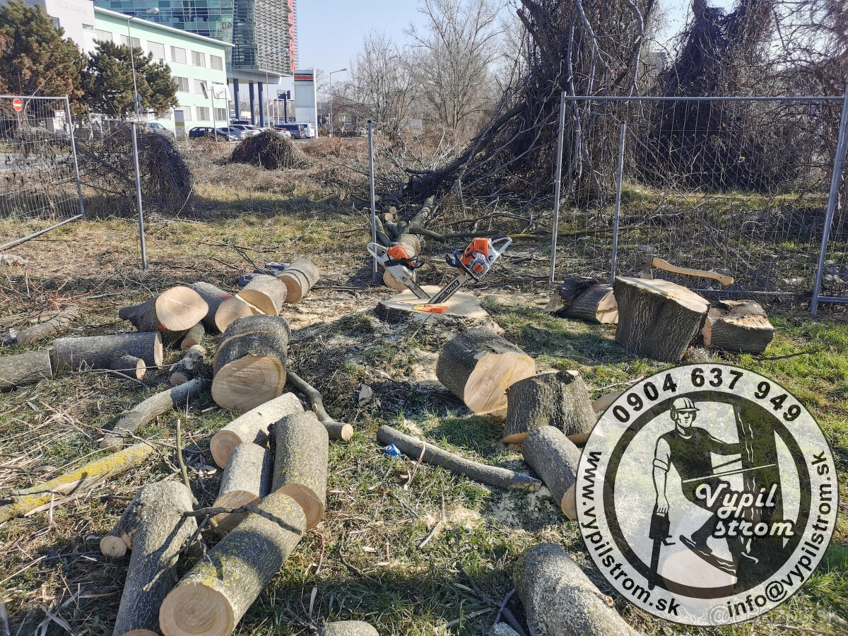 Pilenie a orezavanie stromov, kosenie a udrzba zahrad - 16