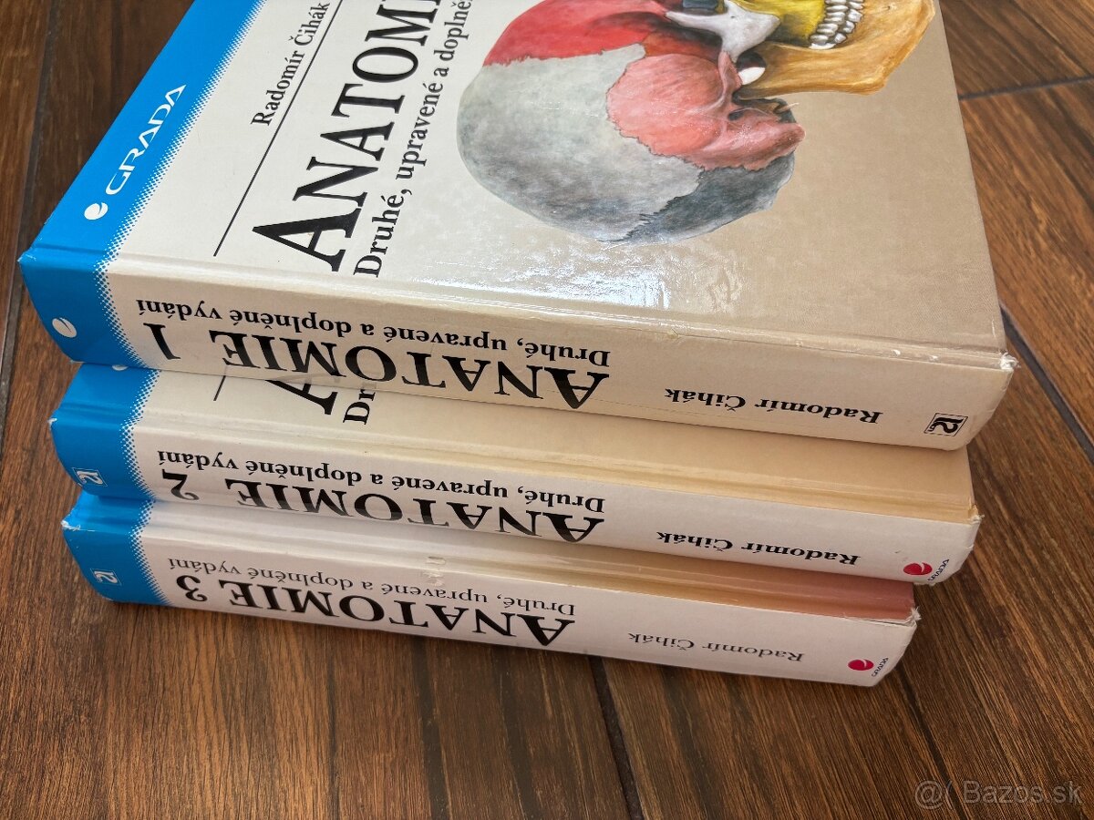 Anatomia Čihak 1,2,3 - 16