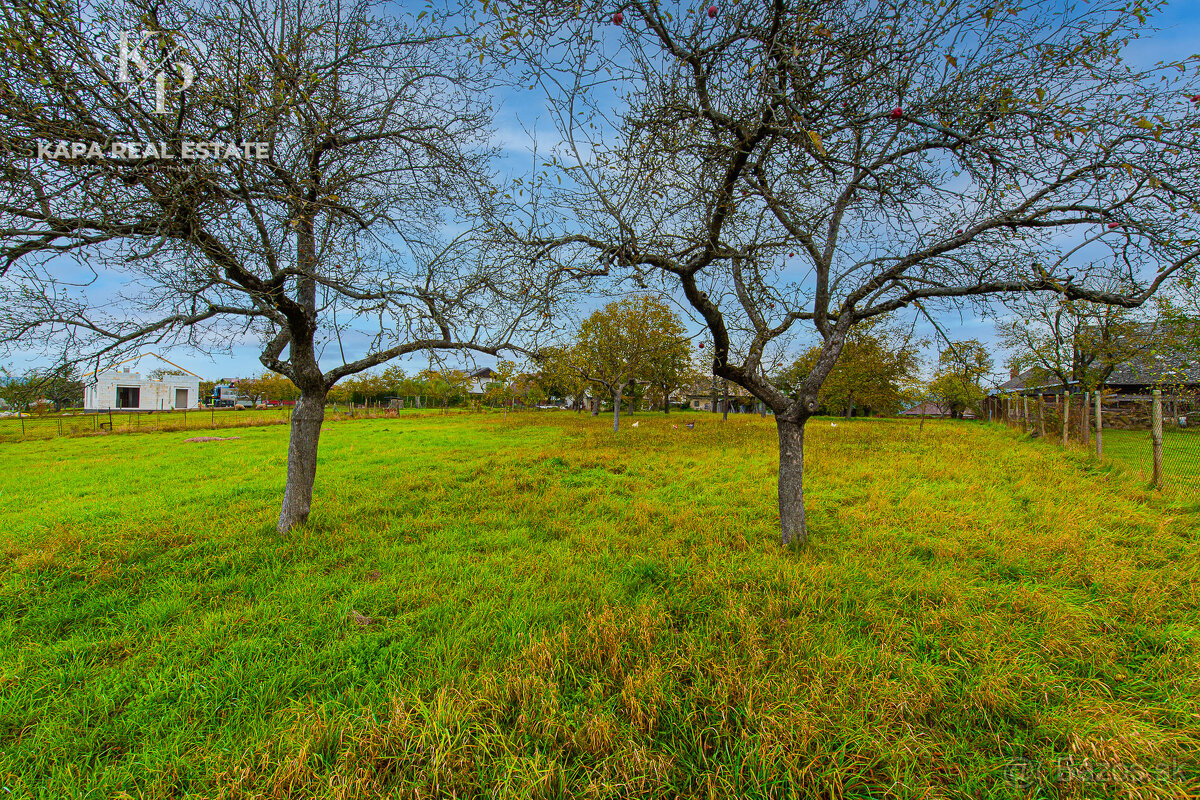 Pozemok na predaj, obec Mestisko, okres Svidník - 16