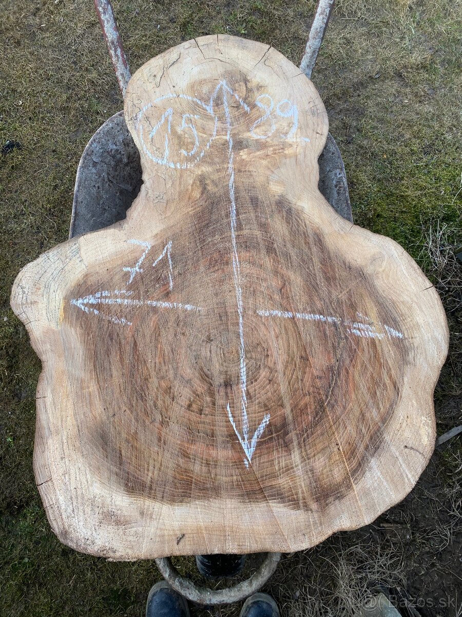 Brest priečny rez,kolač - 16