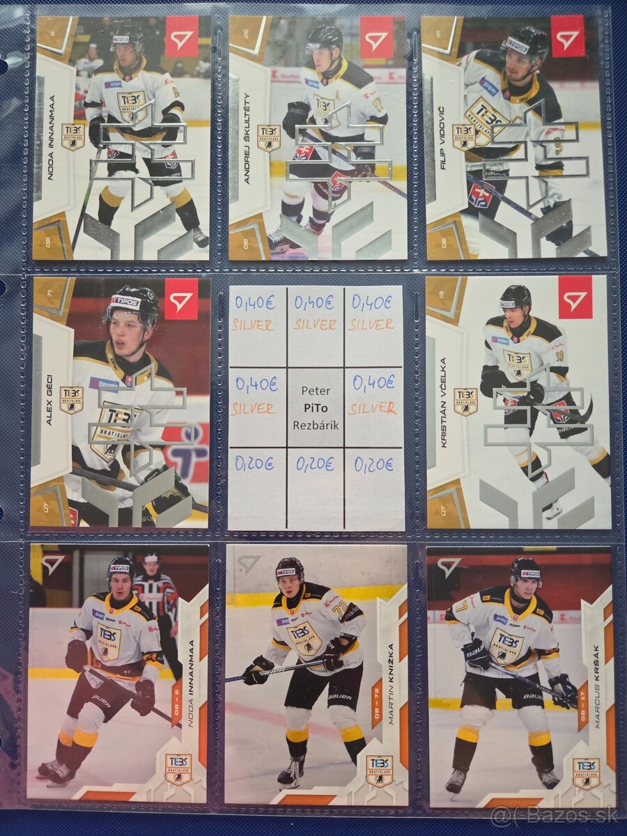 SHL - Dubnica, PB, Humenne, Bratislava - 16