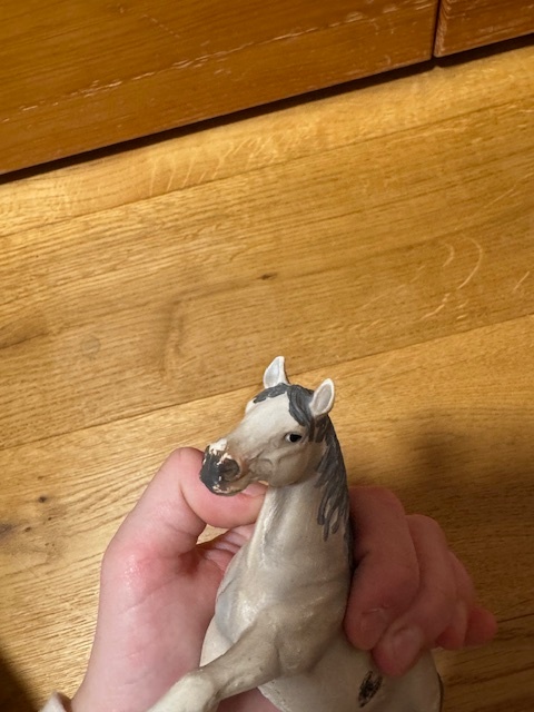 KONIKY( KUPTE SI NAS) - 16