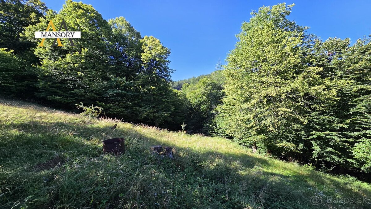 NA PREDAJ, Rodinný dom s pozemkom 2702m2 na samote Veľké Rov - 16