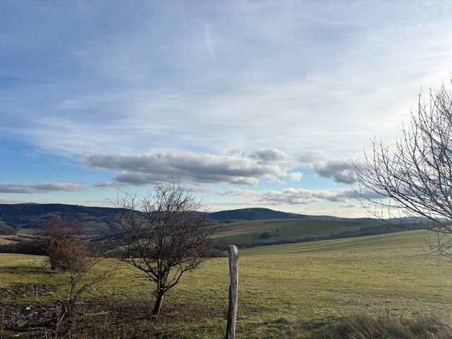 Na predaj chalupa na myjavských kopaniciach v obci Chvojnica - 16
