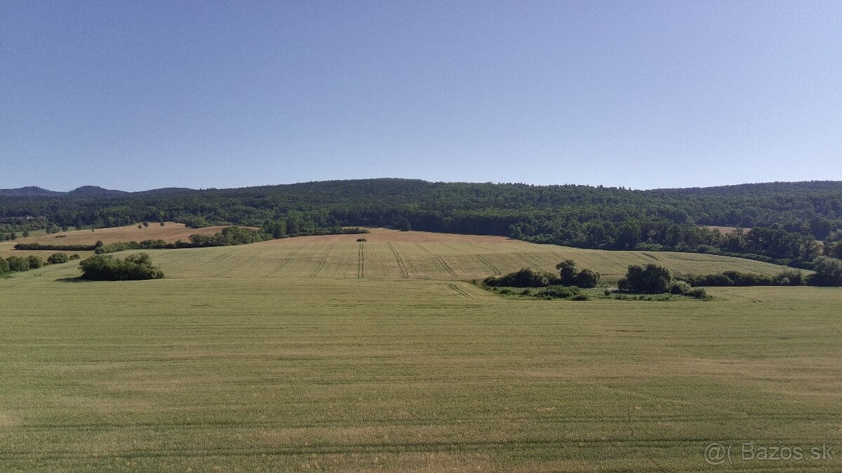 Záhrada s chatkou 714 m² - 16