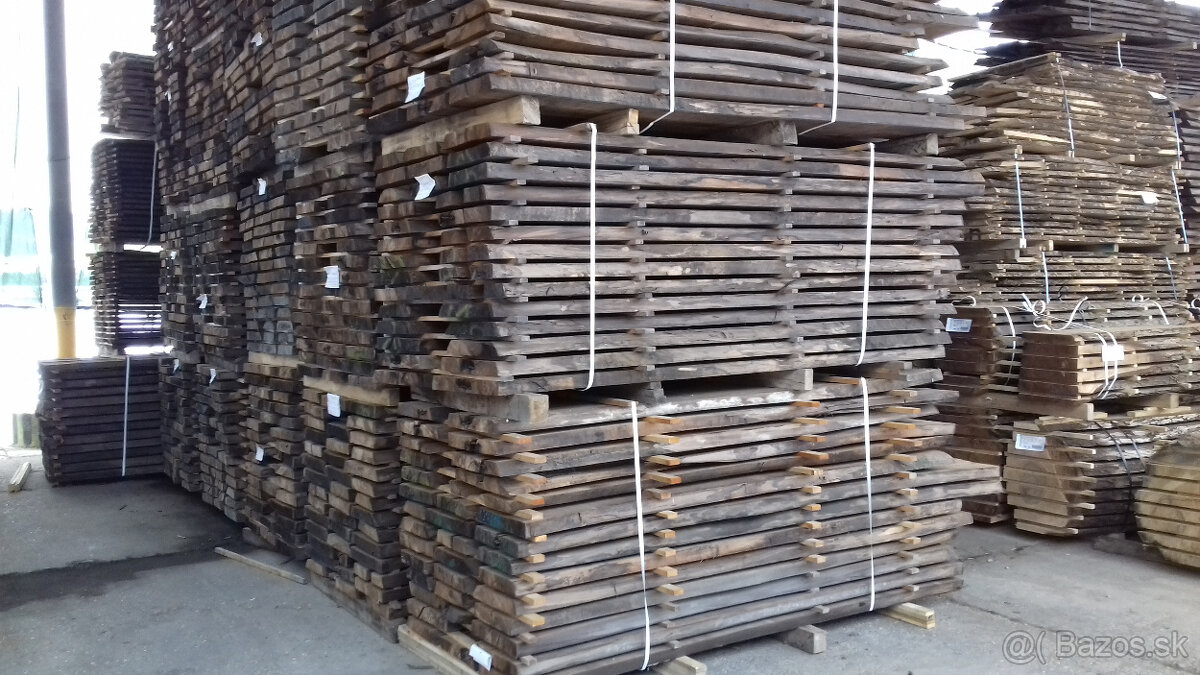 Orech čierny - sadenice. Orech čierny - Kotora - 16