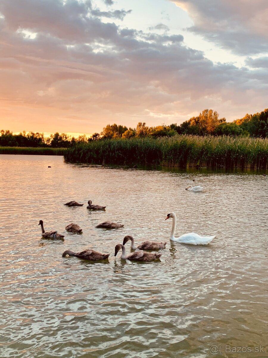 Štýlový hausbót na Dunaji je na predaj - 16