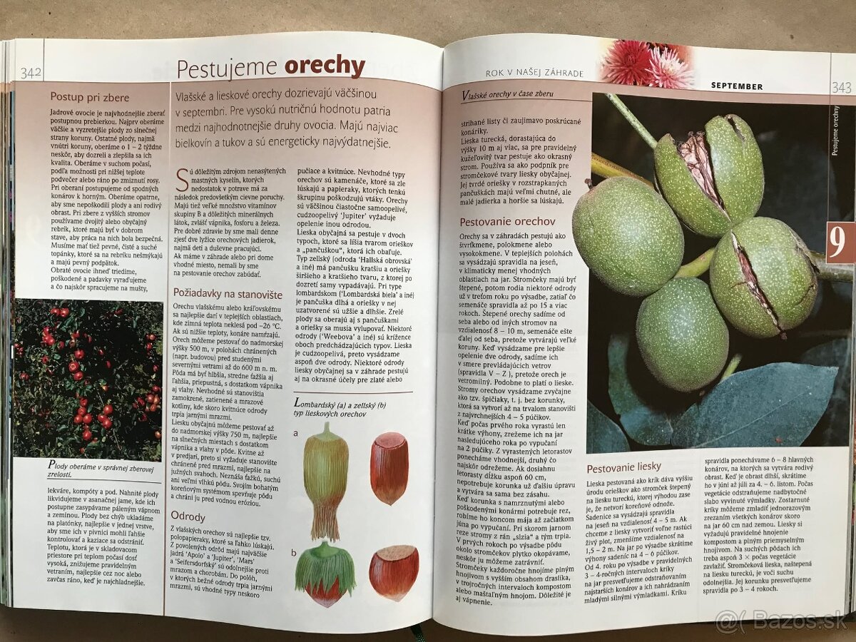 Bukovský, Psy, Golf Fyzika, Malý atlas húb, Slovenský futbal - 16