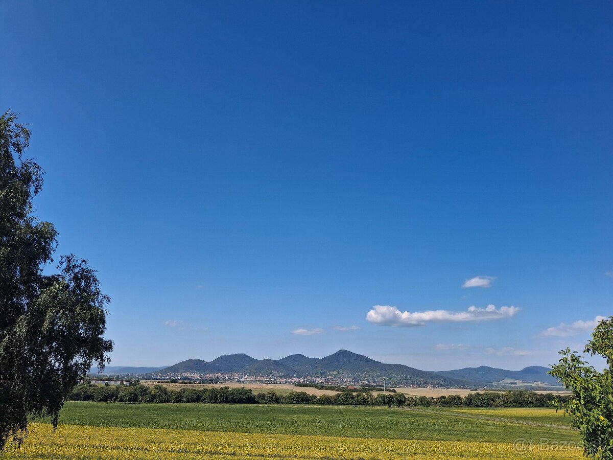 Vinohrad v Tokajskej oblasti - 16