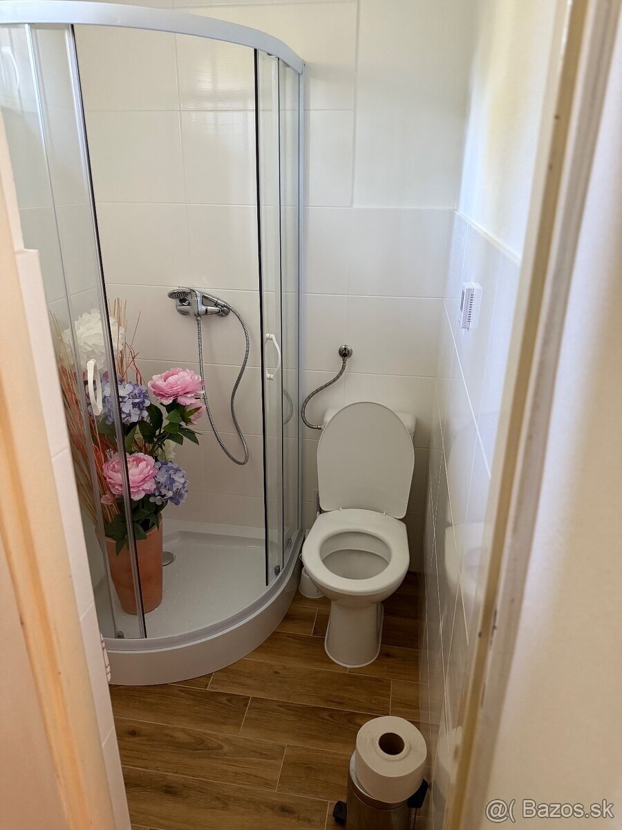 Obchodné priestory na podnikanie a stavebný pozemok - 16