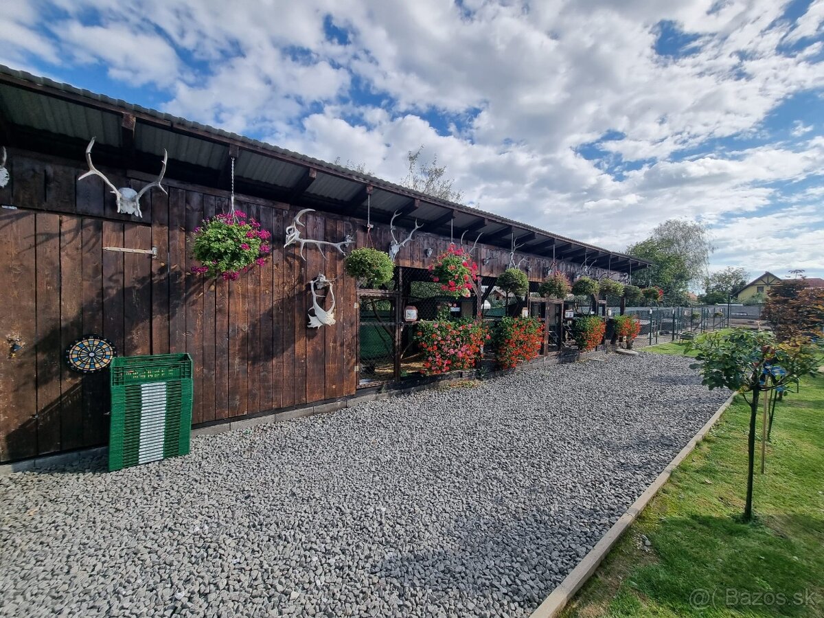 Voliery , klietky - 16