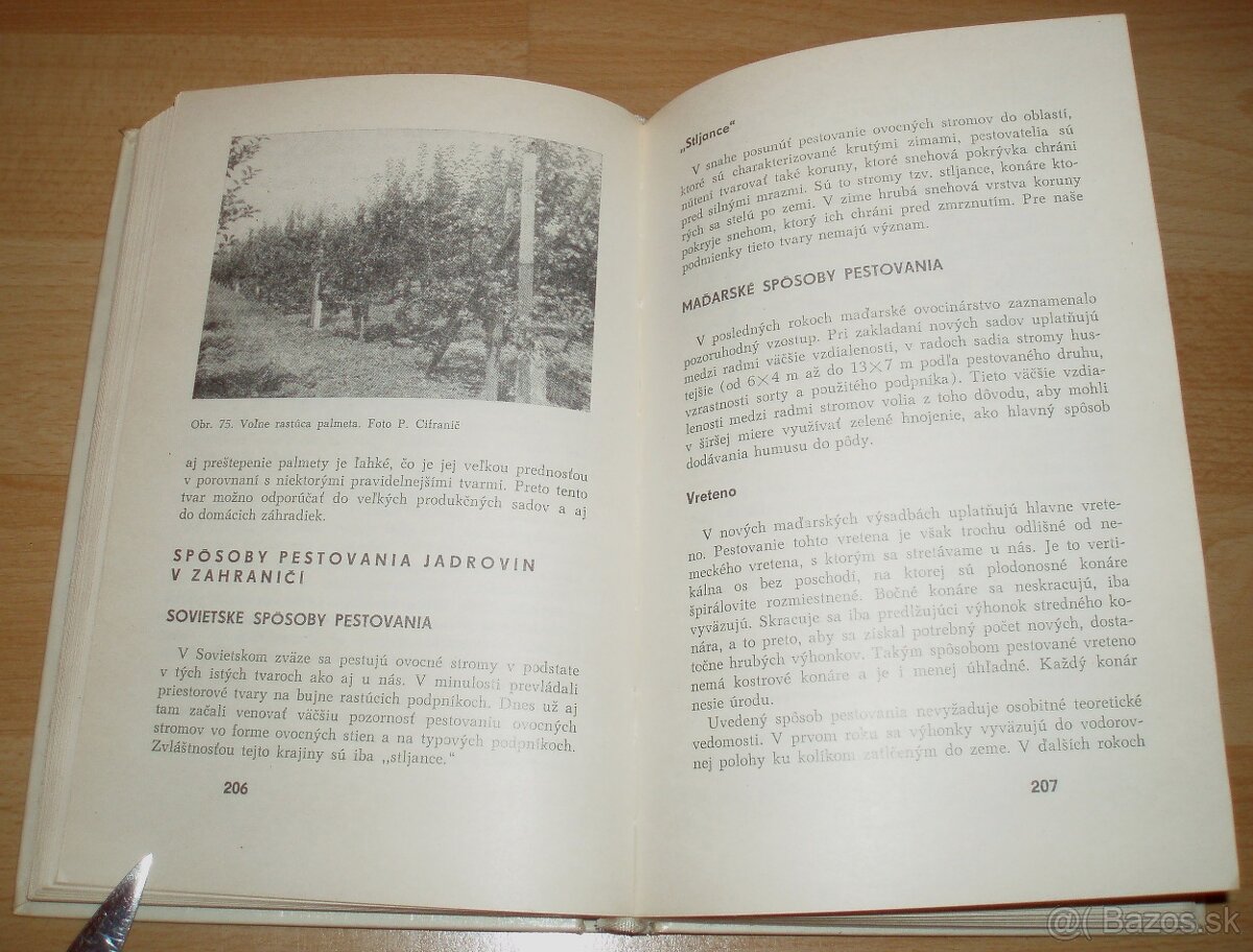 Rez a tvarovanie ovocných drevín - 16