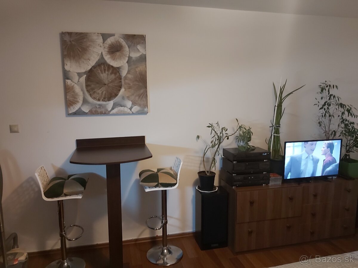 Garsonka,garzonka, Družba,Spartakovská ulica - 16