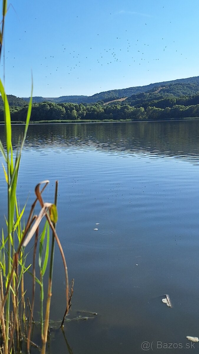 Rodinný dom 1+3 s ústredným kúrením + vedľajšie stavby - 16
