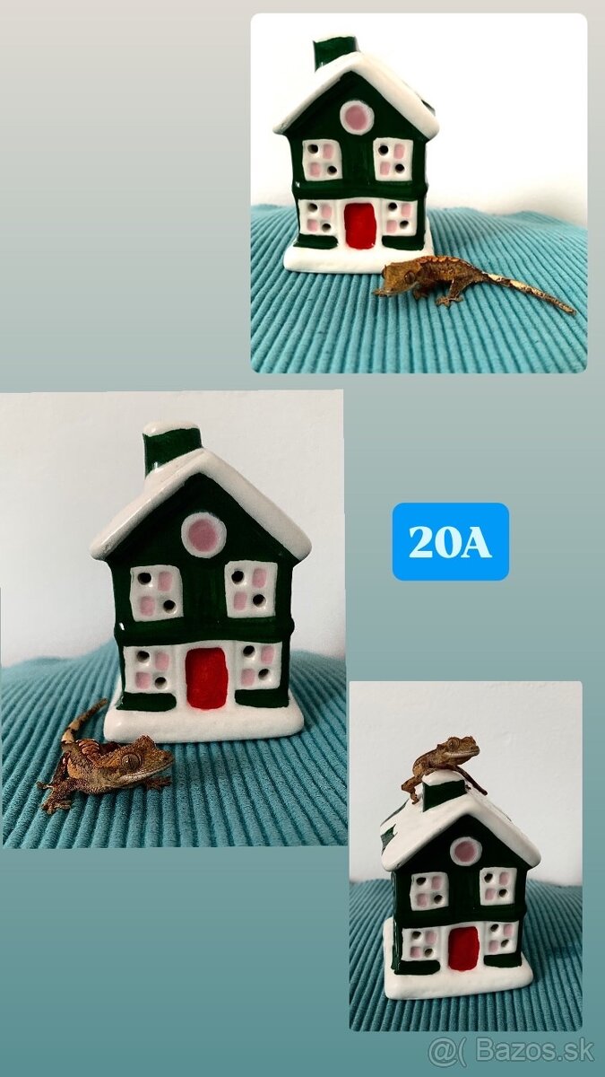 Pagekon riasnaty - 16