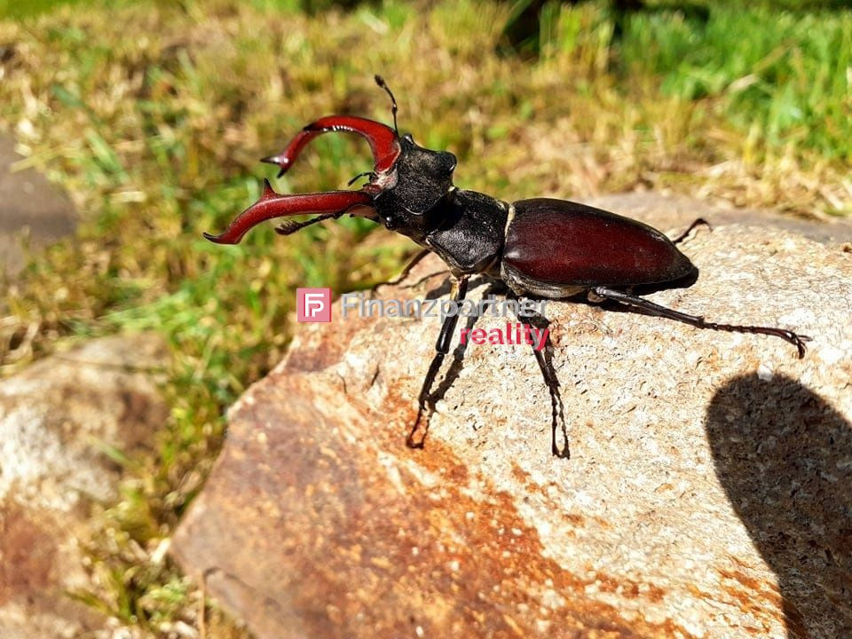 3 pozemky, 3 chatky, na výstavbu domu, Bartošova Lehôtka - 16