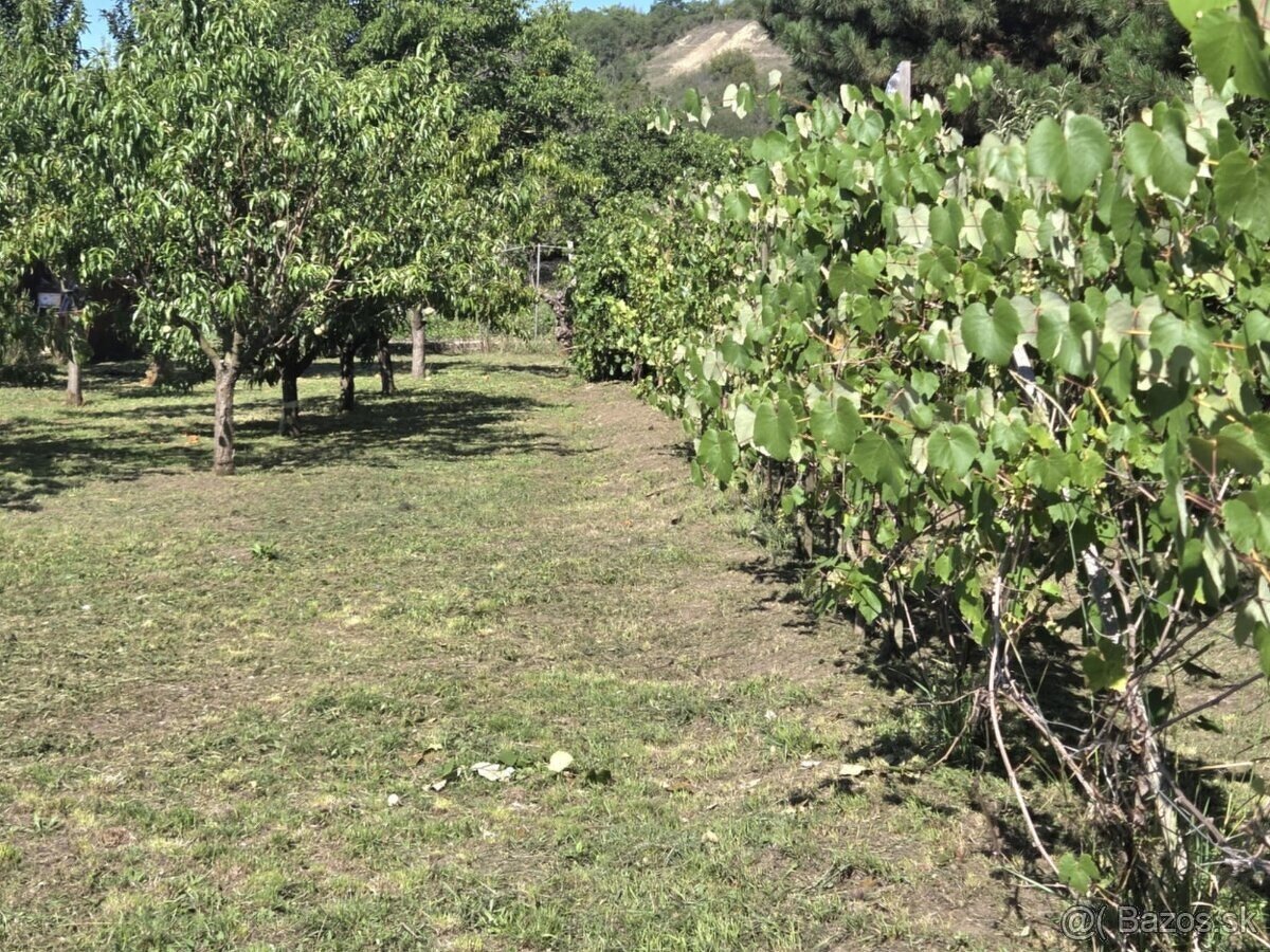 Predáme rodinný dom s pekným pozemkom v Kamenici nad Hronom. - 16
