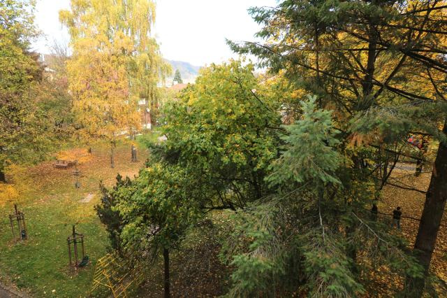 Prenájom 2 - izbového bytu Bulvár - 16