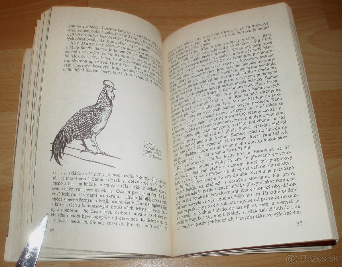 Bažanti a ostatní hrabaví - 16