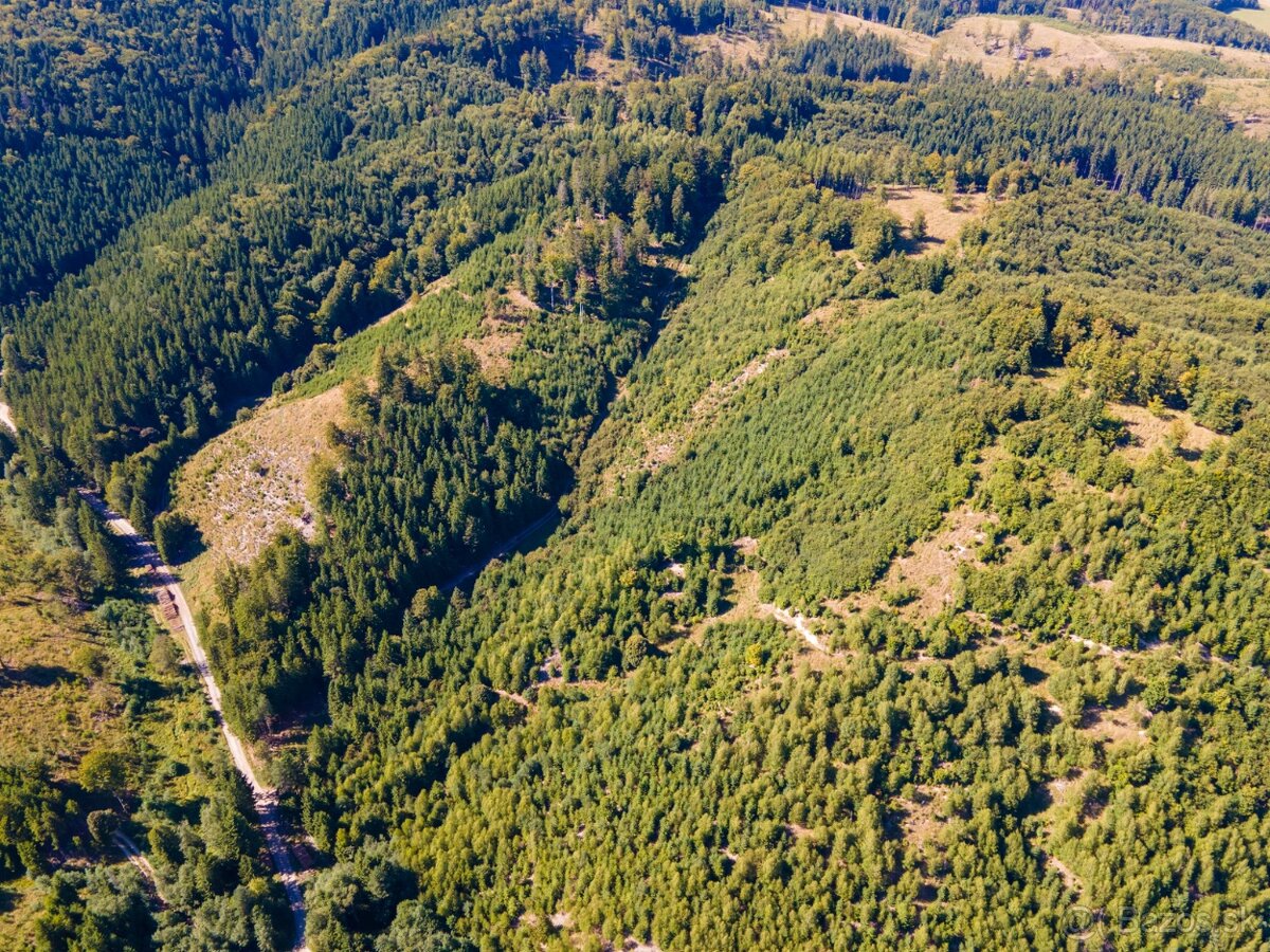 HOSPODÁRSKY LES V OBCI BUDIŠ V OKRESE TURČIANSKE TEPLICE - 16