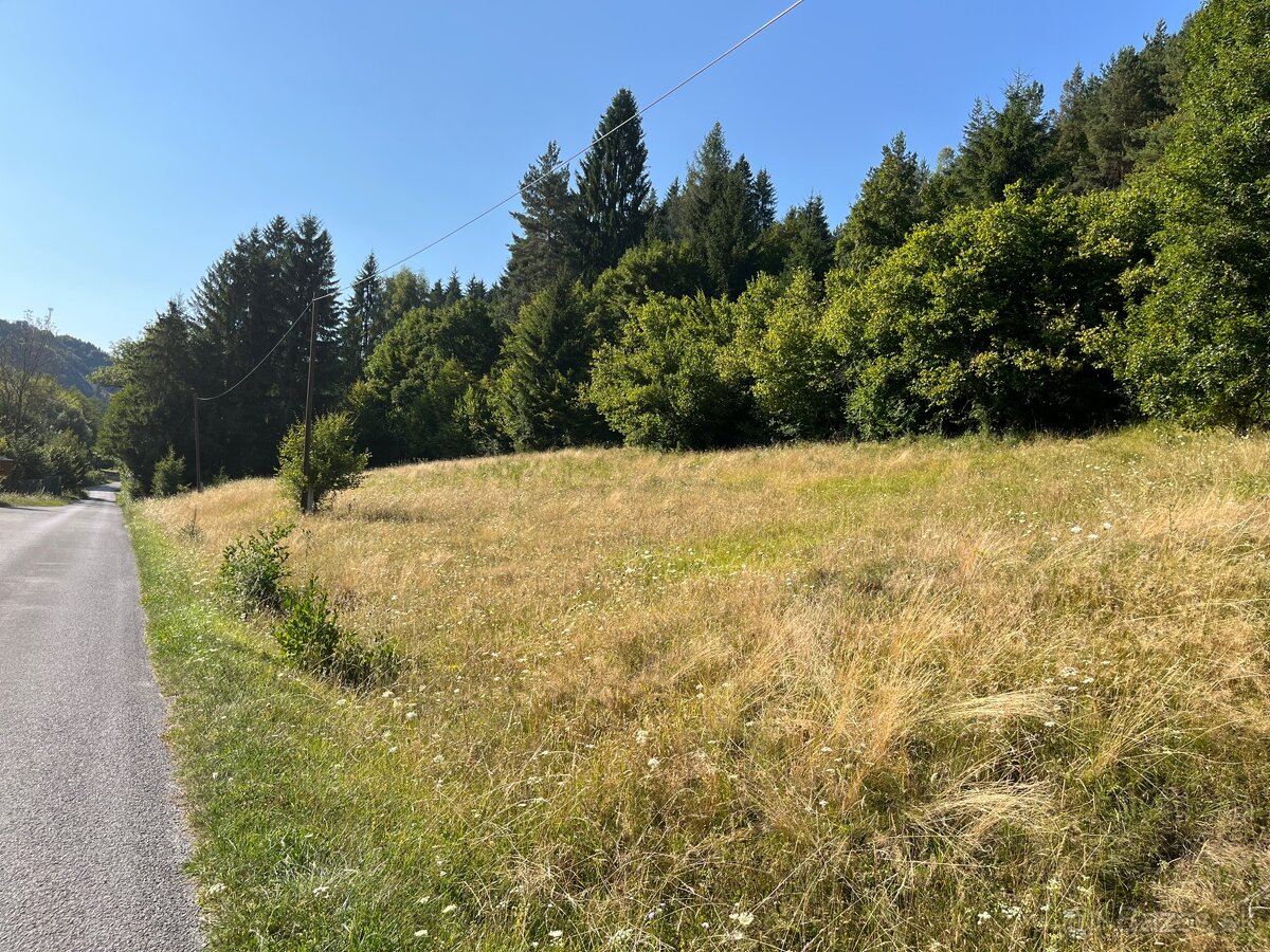 Pozemok v obci Ľubietová - 16