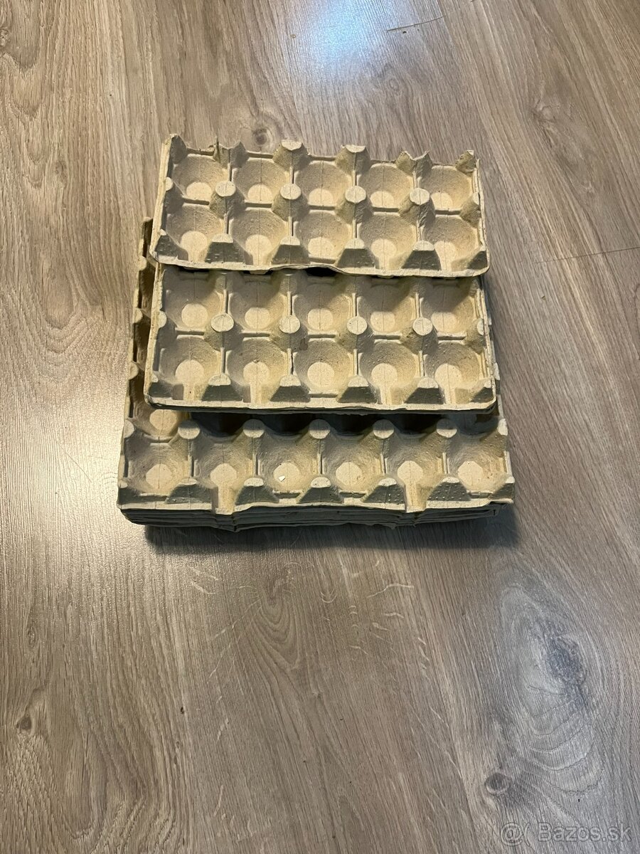 Agama bradatá + terárium - 16