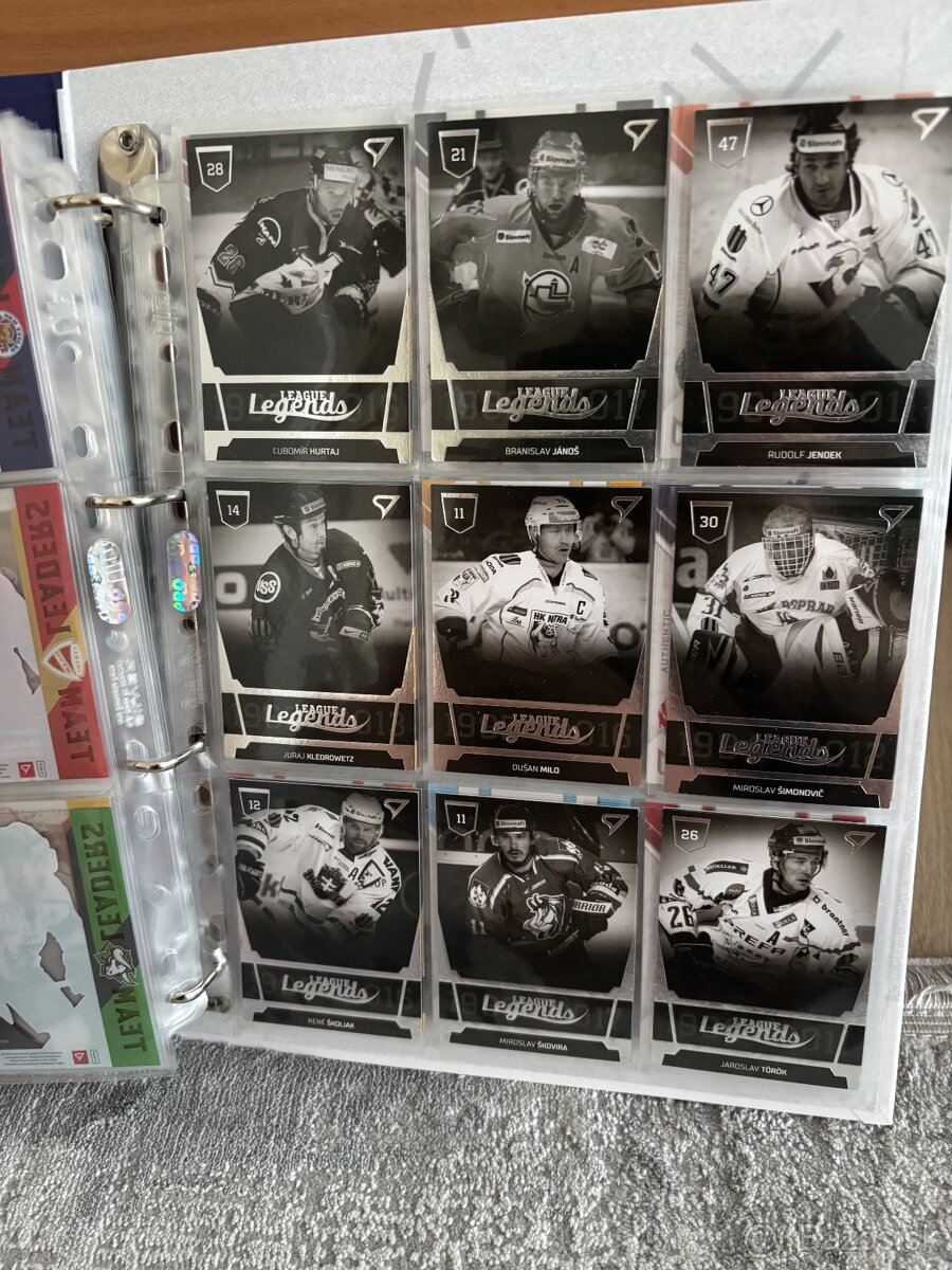 Hokejové kartičky - 16