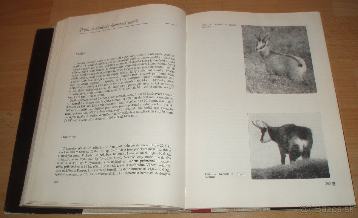 Dutorohá zvěř - 16