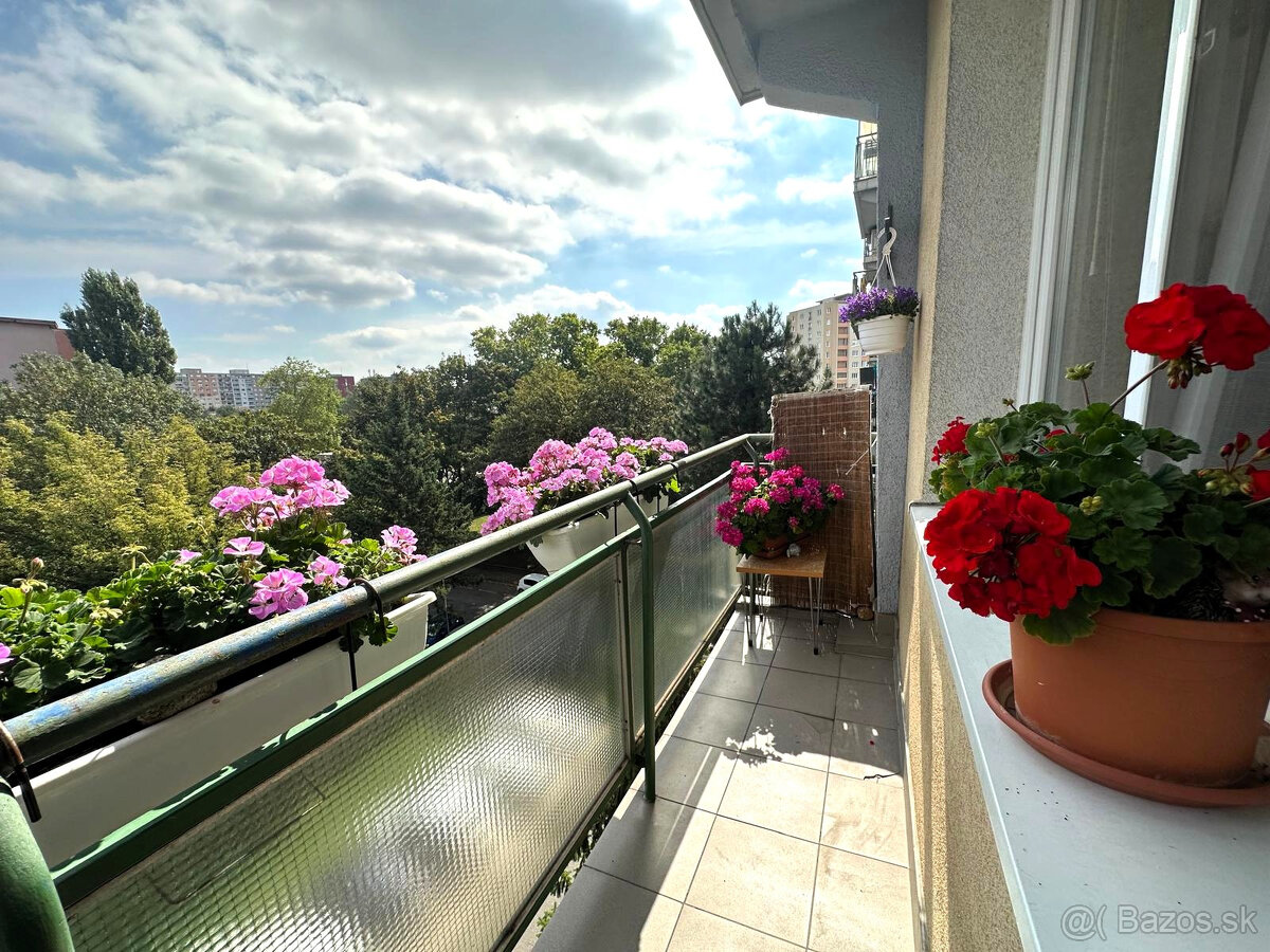 AFYREAL – na prenájom priestranný 1-izbový byt s balkónom a - 16