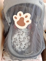 Predam vodeodolny kocik -3 kombinacia - 16