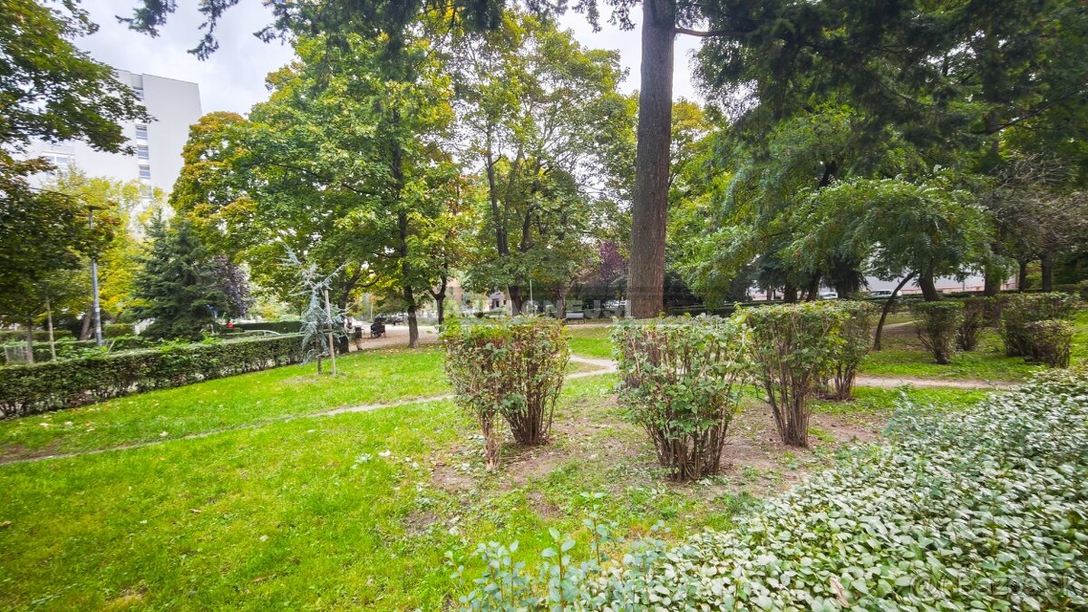 BA Staré mesto - Wilsonova - 2i BYT v úžasnej lokalite v cen - 16