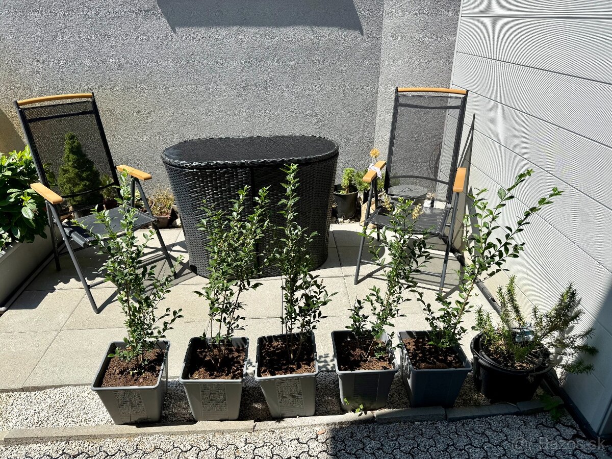 PREDAJ - RD pri súkromnom jazere - Boldog - 16