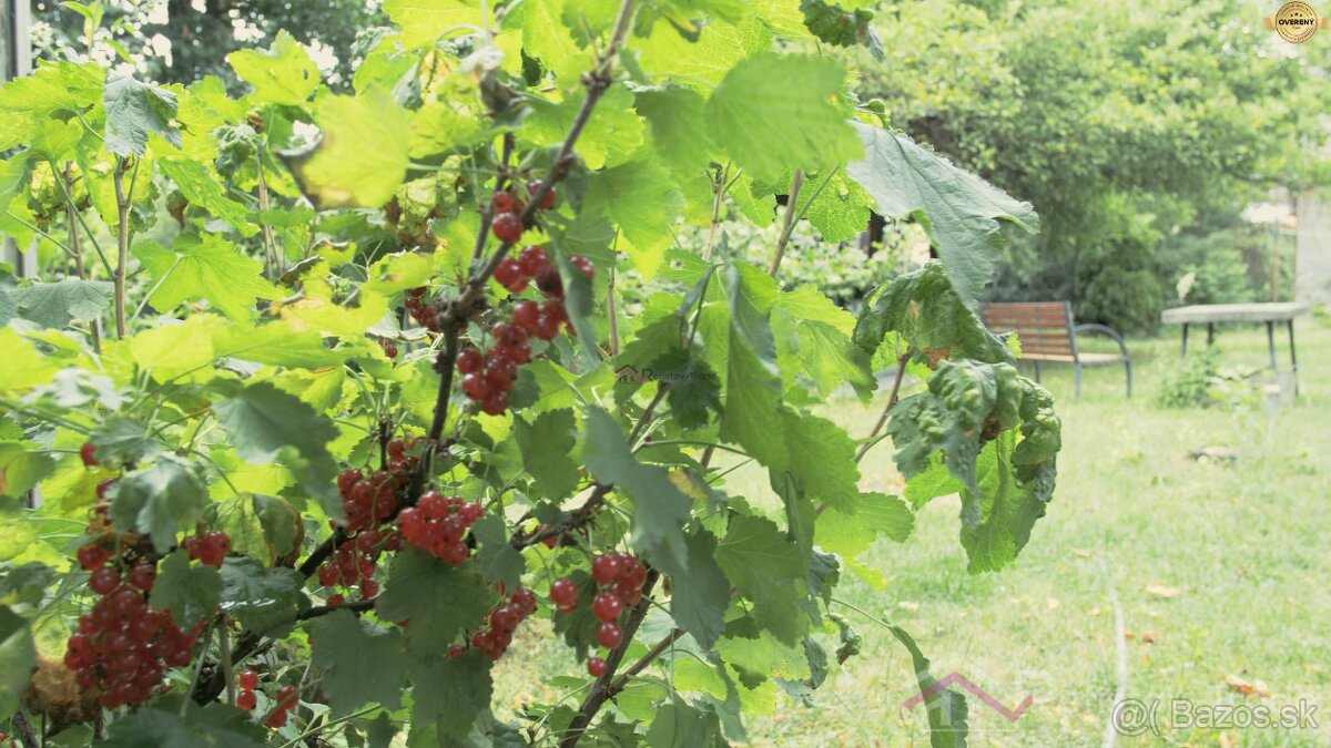 Na predaj rodinný dom - Nižná Hutka + videoprojekcia - 16