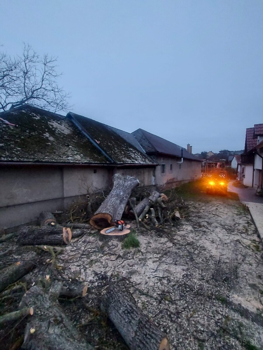 Pílenie a Orezávanie stromov - 16