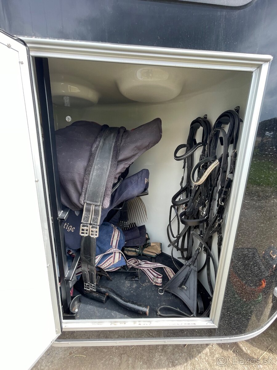 Preprava koní - K2HORSESTAXI.sk - 16