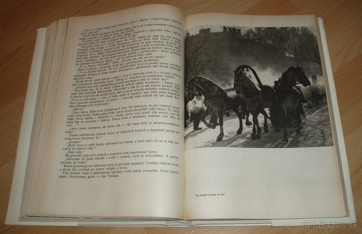 Revír bez hranic - 16