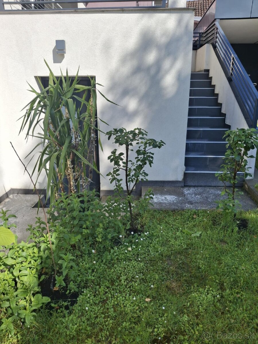 Čistenie fasád, dlažby, strechy, plotov, fotovoltaiky - 16