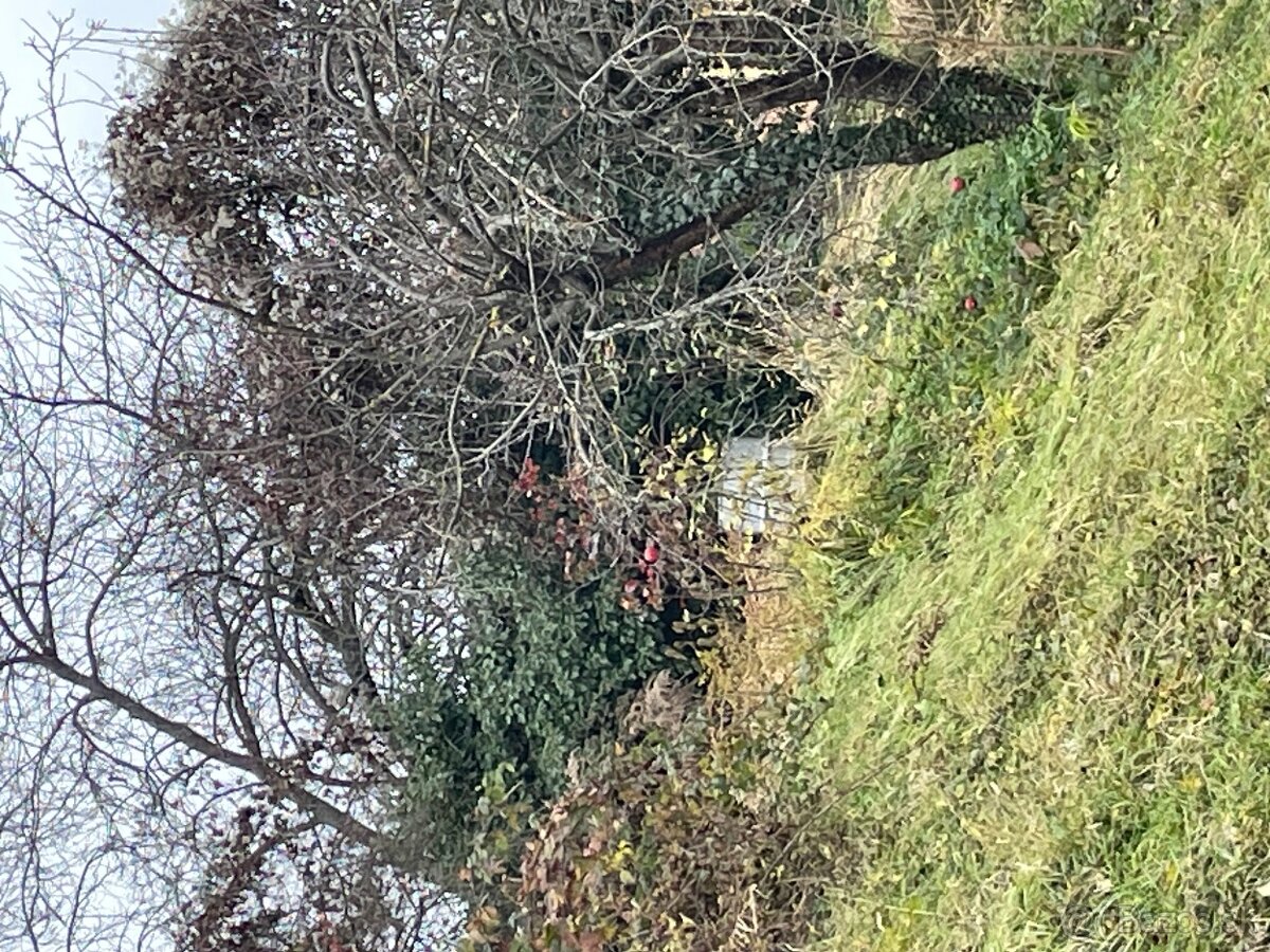 4 - IZBOVÝ PRIESTRANNY BYT NITRA ČERMÁŇ, ZAHRADA, GARAZ - 16