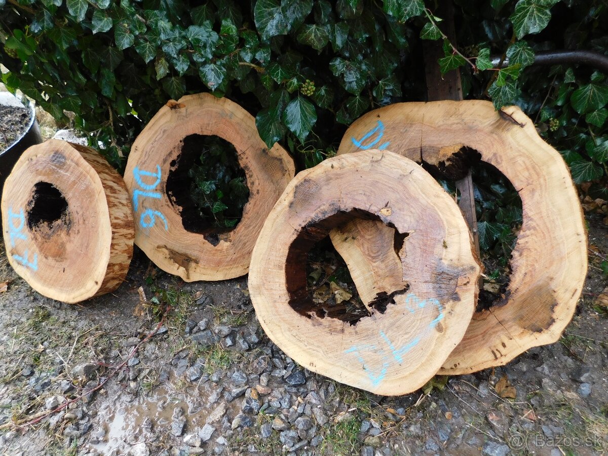 Atypické a nadrozmerné fošne a koláče, orechové drevo - 16