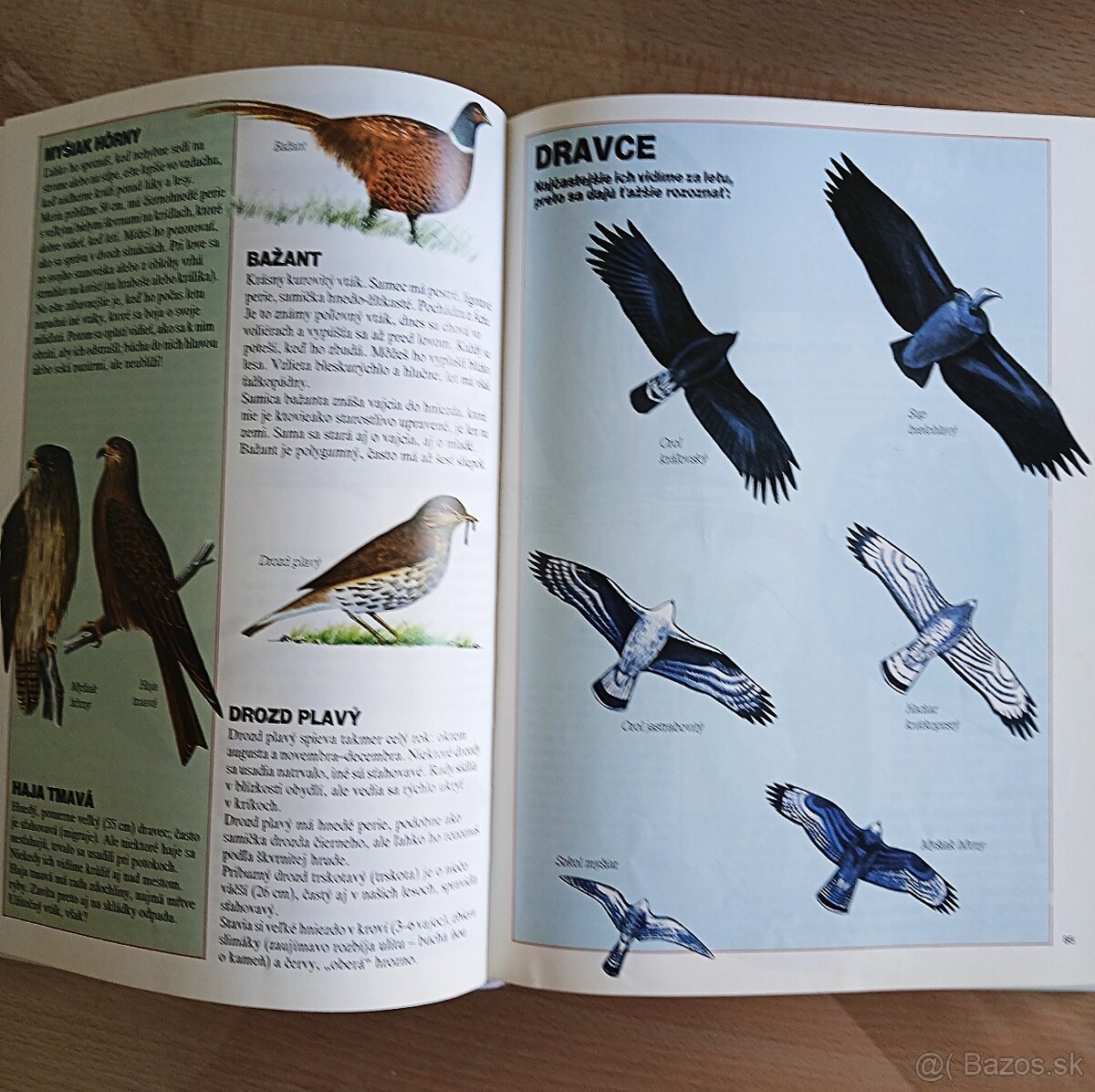 Rozprávkové knihy v perfektnom stave - 16