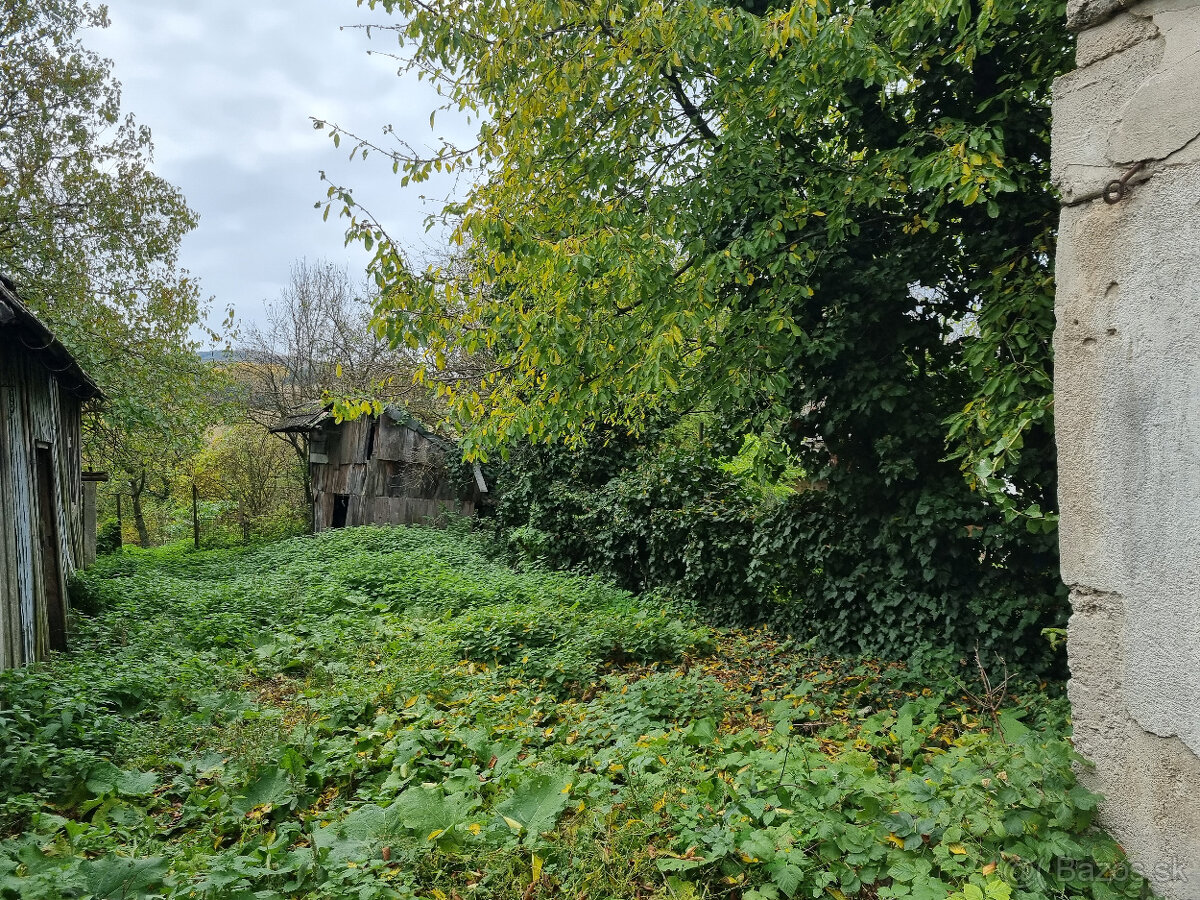 RODINNÝ DOM a POZEMOK 1205 m2 DOBRÁ VODA - TRNAVA - VOĽNÝ - 16