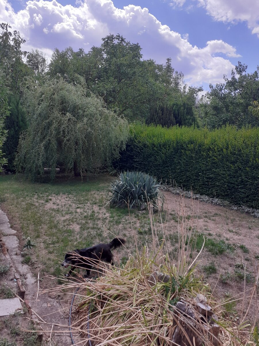 Záhradná murovaná chata - 16