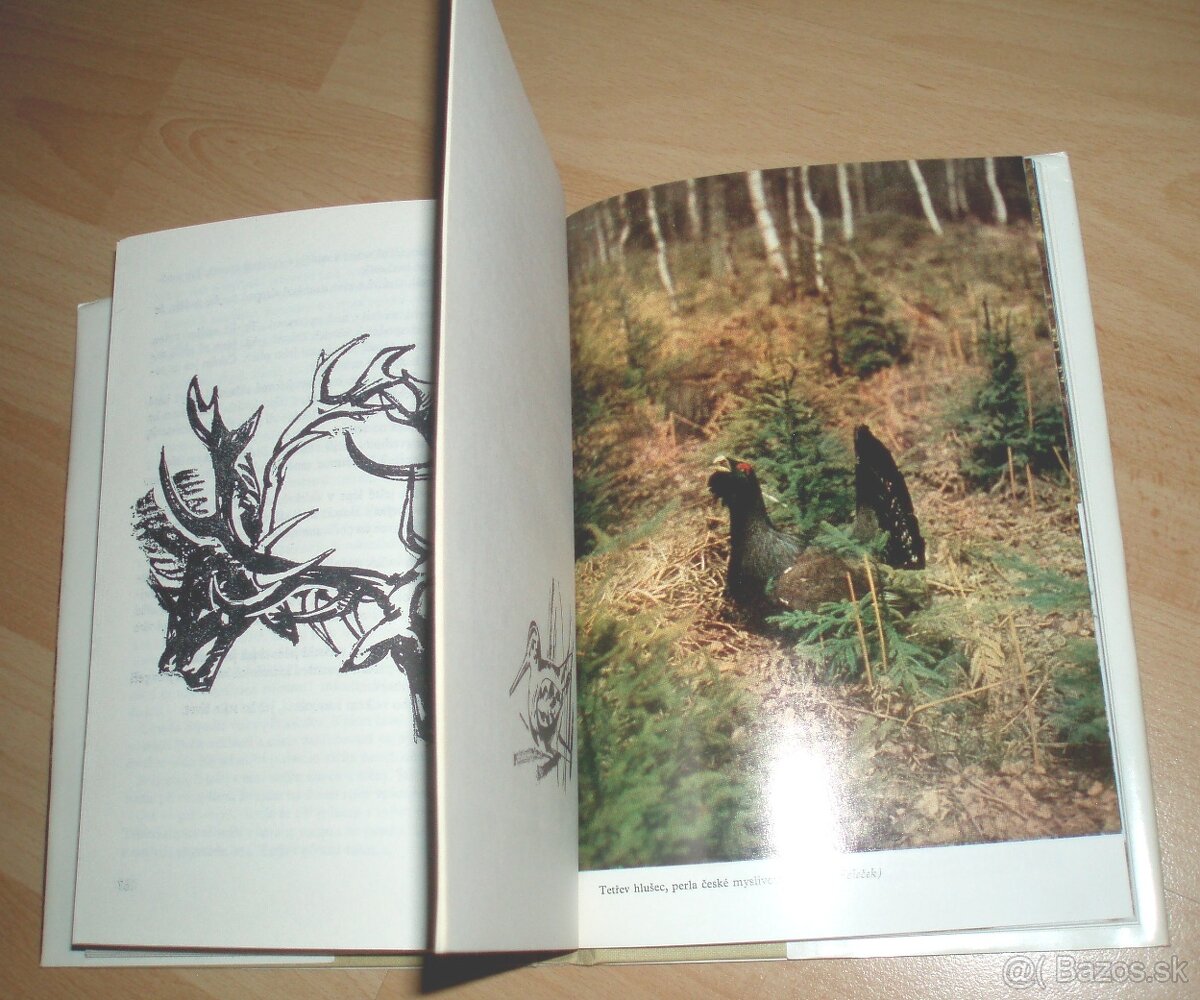 až zazní voláni - 16