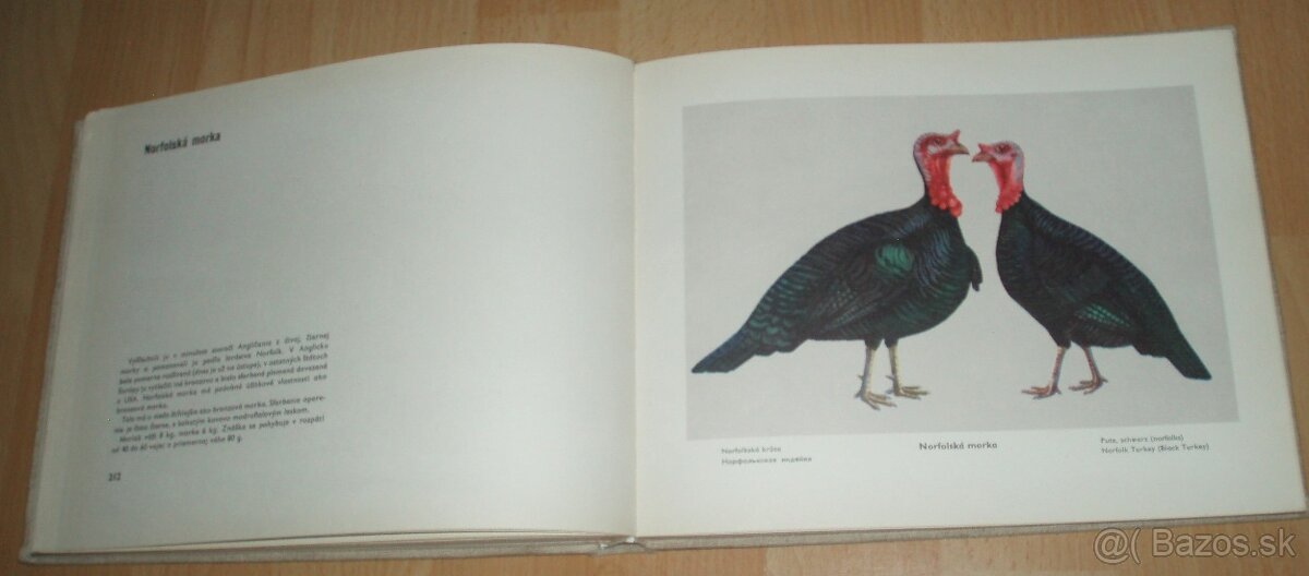 Atlas plemien hydiny - 16