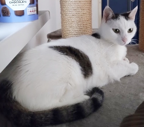 stelesnenie pokoja - 16