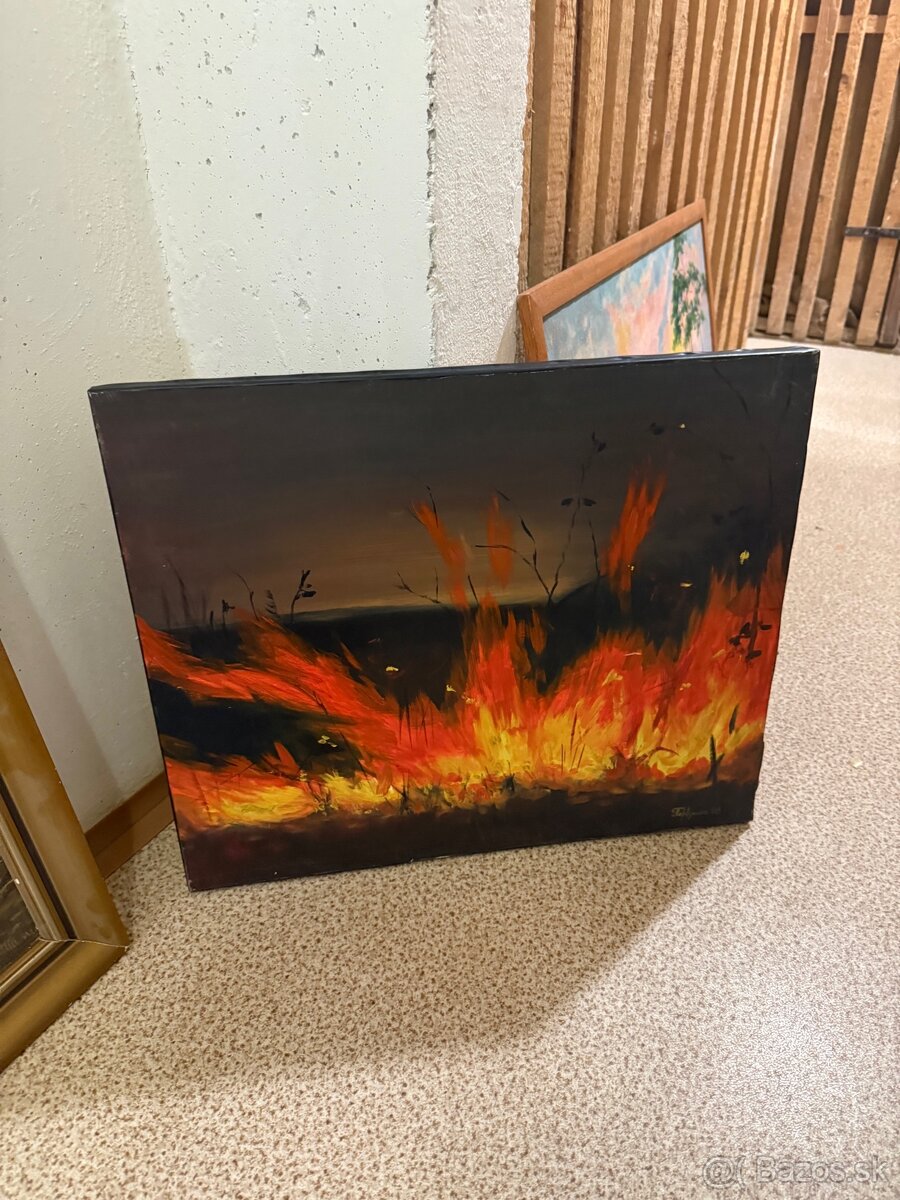 Obrazy na predaj - 16