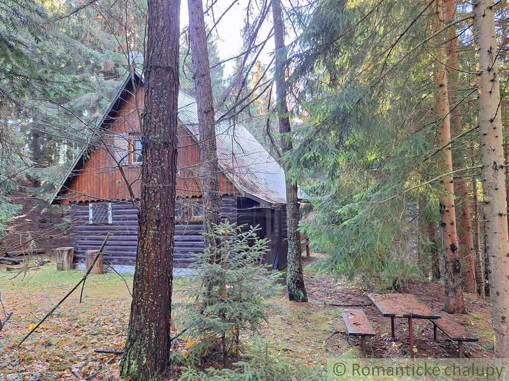Chata v Studenej doline na vlastnom pozemku s vodou a elek - 16